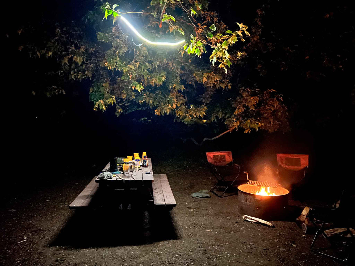 FLEX CAMP LIGHTS