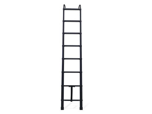 REV LADDER